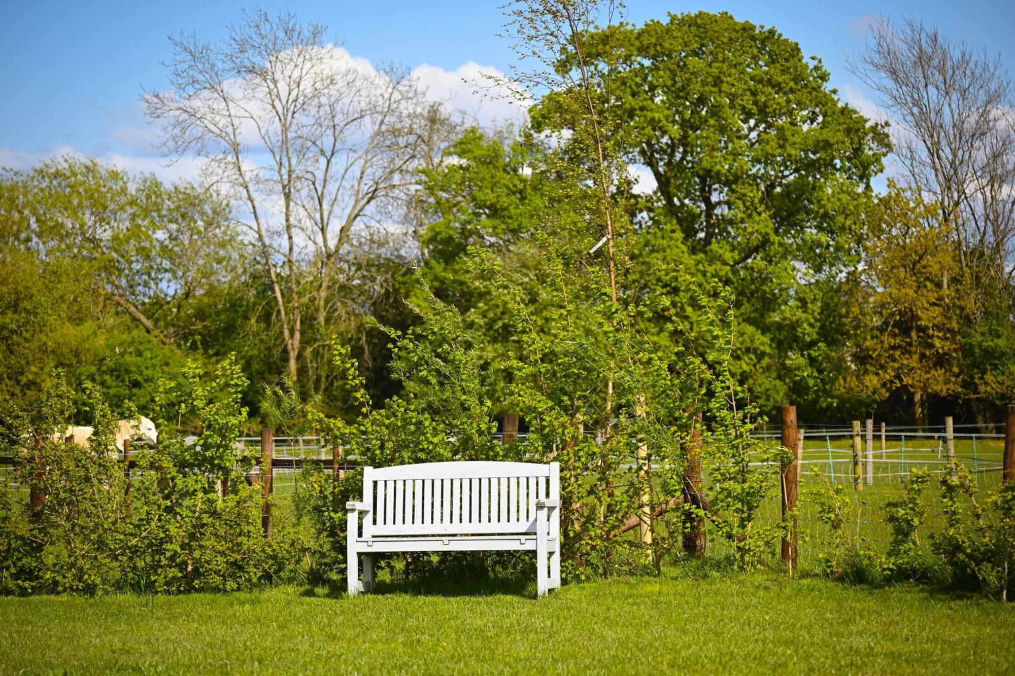 Bluebell Cabin Badsey Exterior foto